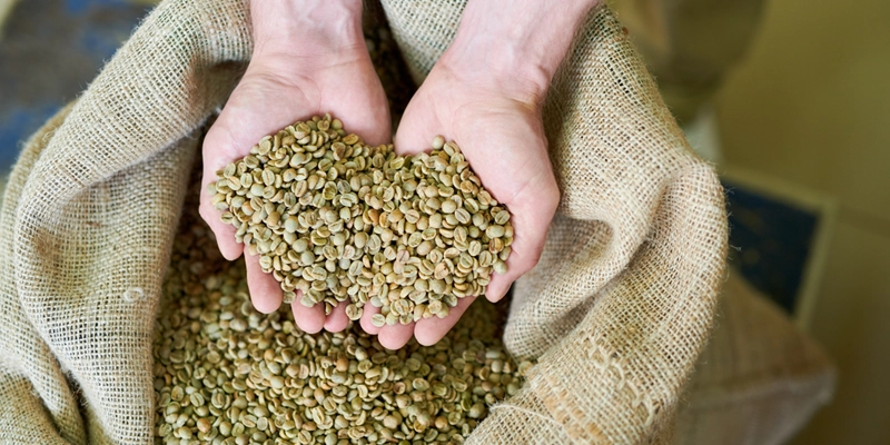 Raw Coffee Beans